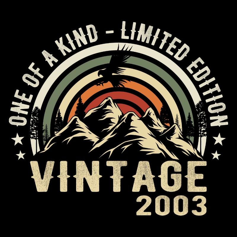 Né en 2003 Vintage 2003 Anniversaire Rétro 2003