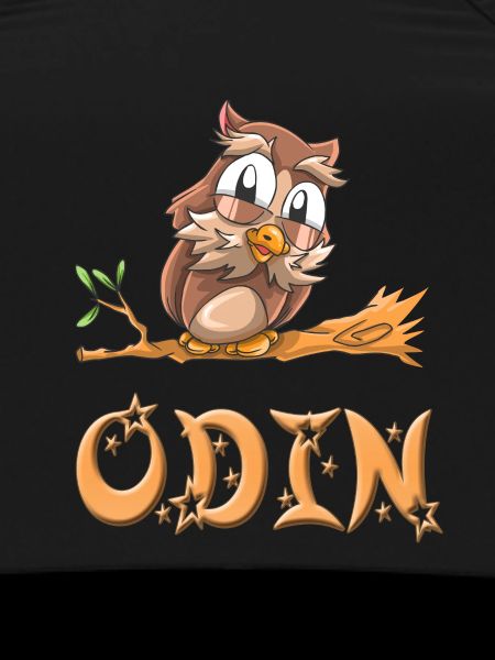 Owl Odin