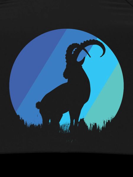 Capricorn