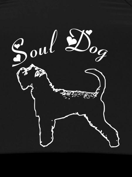 Schnauzer Soul dog