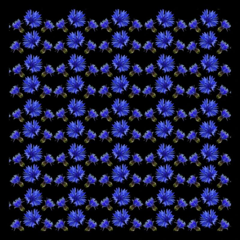 Cornflower Pattern, Gift Woman