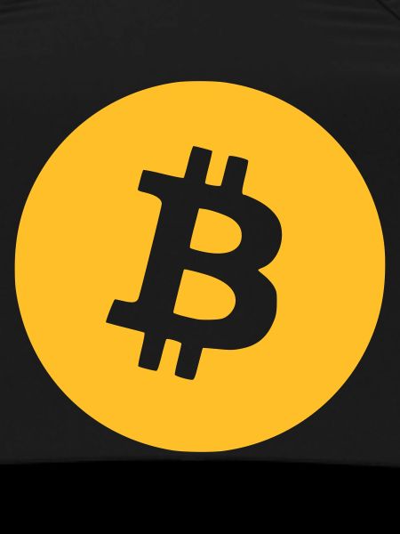 Le bitcoin