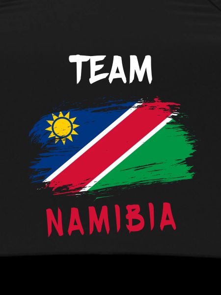 Namibia Flag Design Team