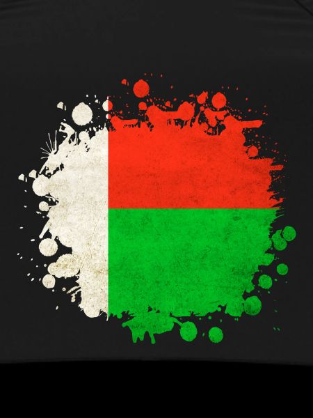Madagascar flags blob