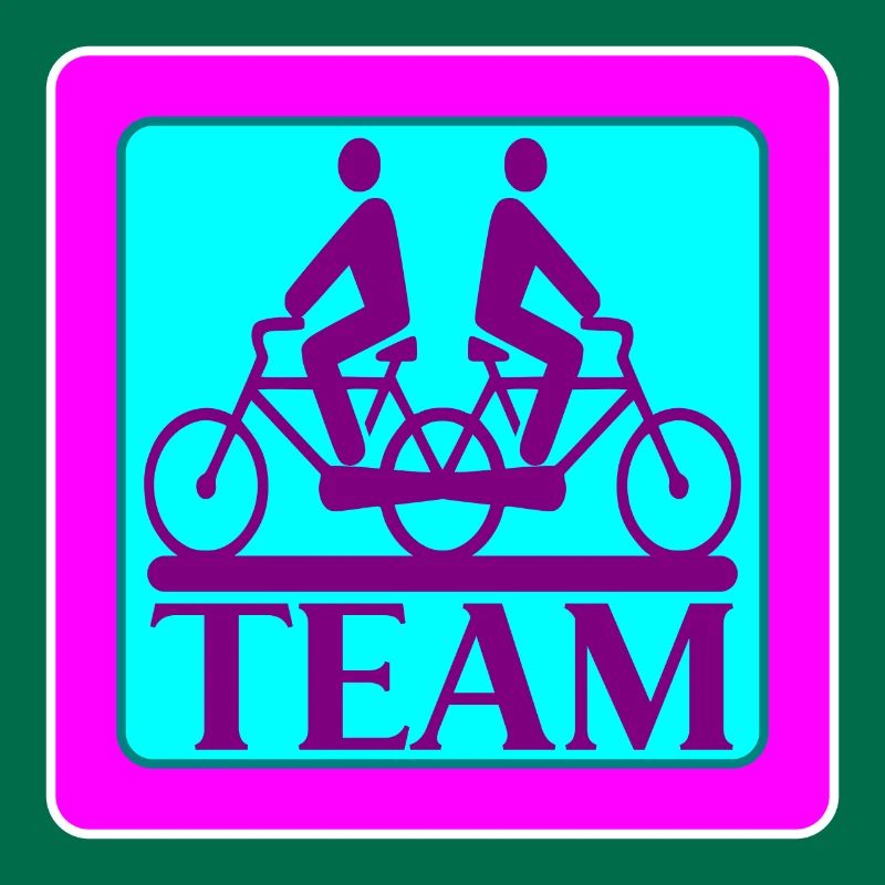 TEAM PROBLEMS - BICYCLE - STRATEGY