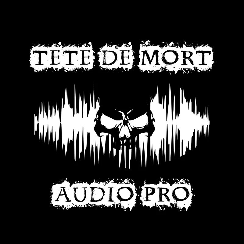 Nouveau Logo TDM Audio Pro