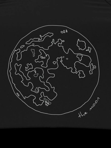 The Moon