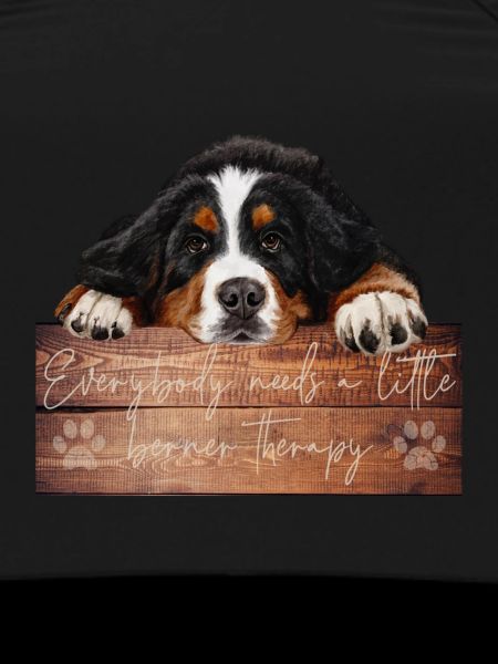 Bernese mountain dog