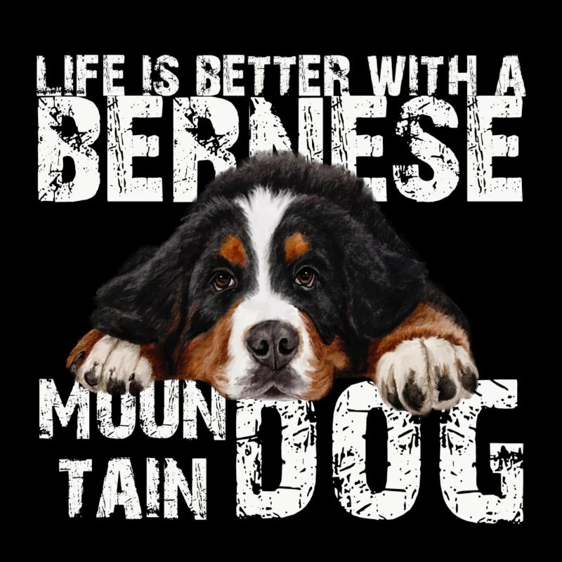 Berner Sennenhund