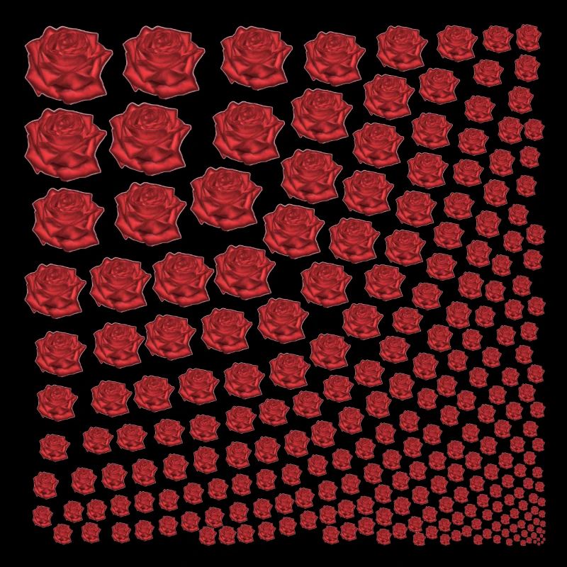 Rosen rot Geschenkidee