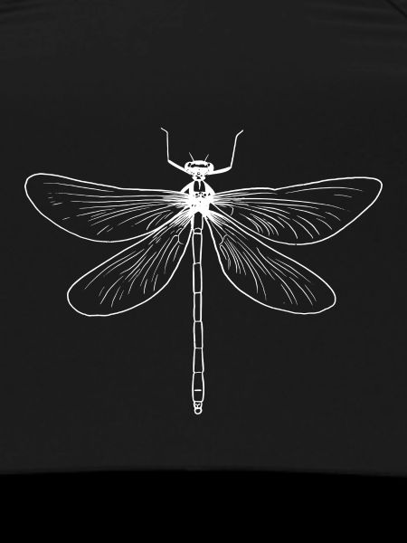 Libellule