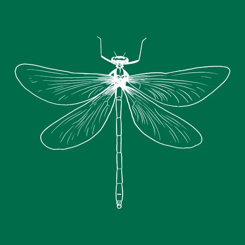 Libellule