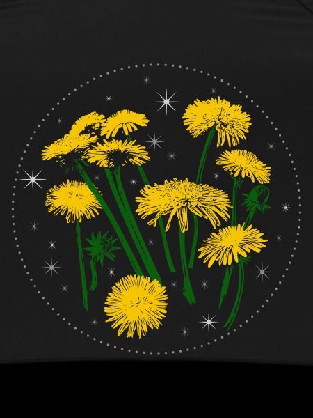 Dandelion Spring Starry Sky