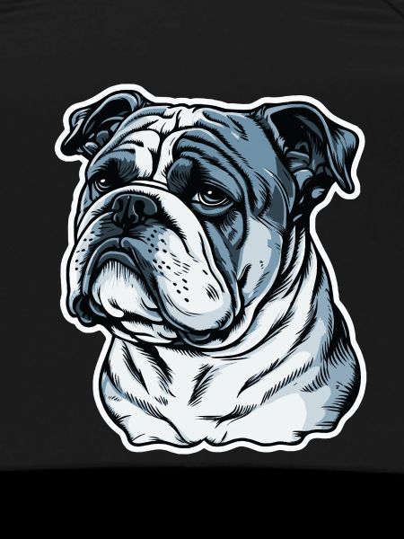 Grumpy English Bulldog