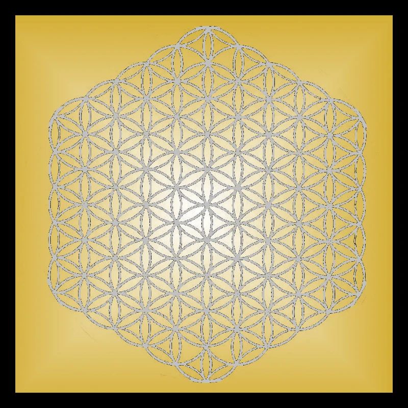 Blume des Lebens silber - 5. Dimension