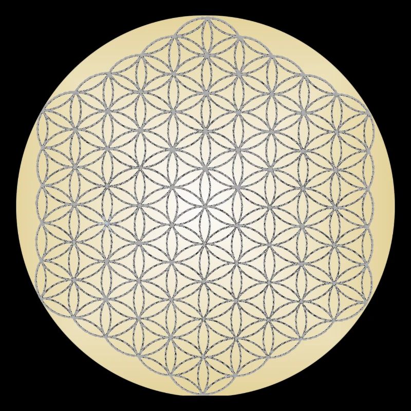 Fleur de Vie Argent - 5ème Dimension - Mandala