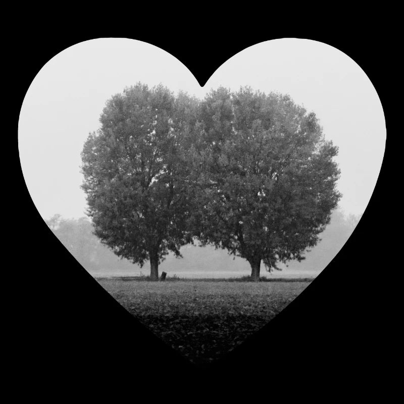 Heart for the trees