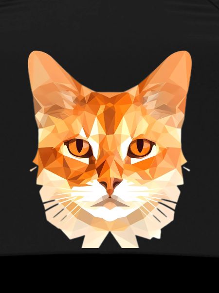 Polygon Cat