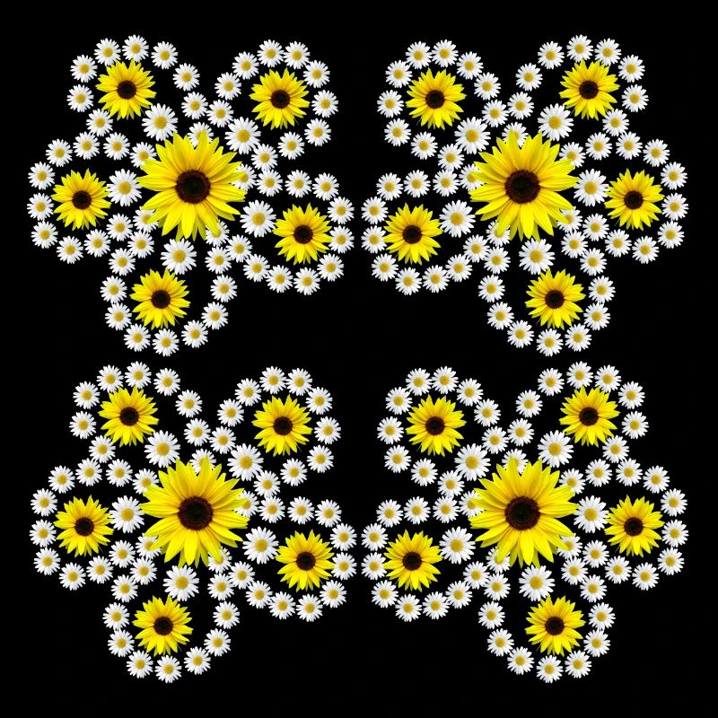 Floral Pattern with Daisies Sunflowers Blossom
