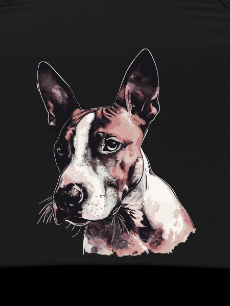 Bull terrier