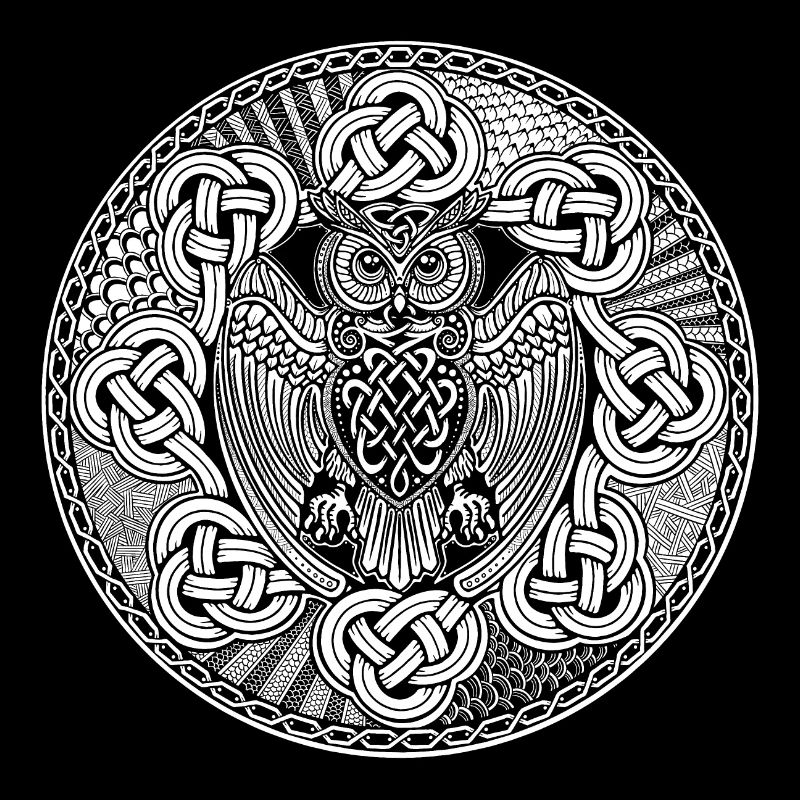 Owl Viking