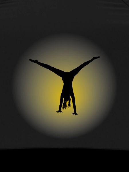 Silhouette 4