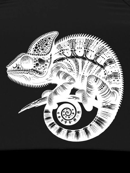 Tropical Lizard Wonder Exotic Lizard