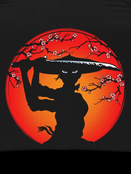 Samurai girl