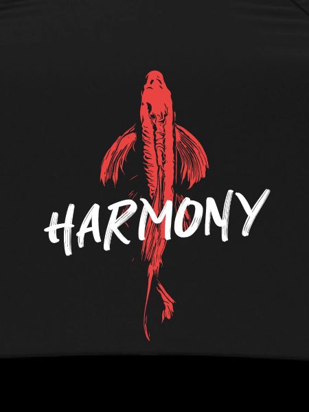Koi Fish Energetic Harmony