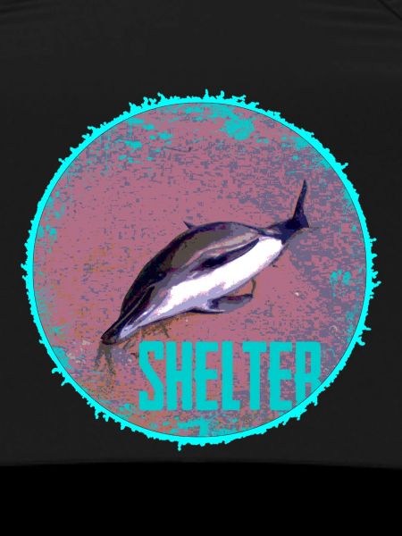 Dolphin Shelter Circle