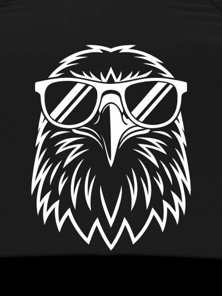 Aviator Eagle Sunglasses