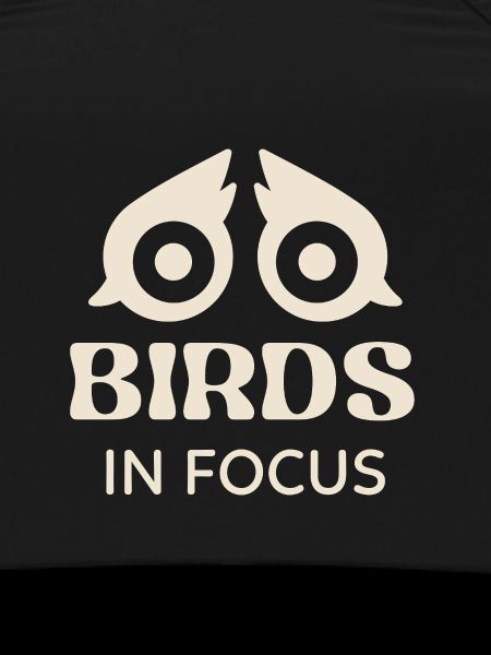 Birds in Focus