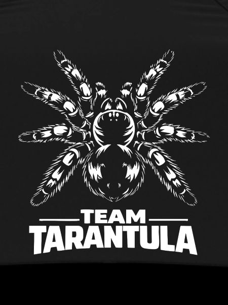 Équipe Tarantula