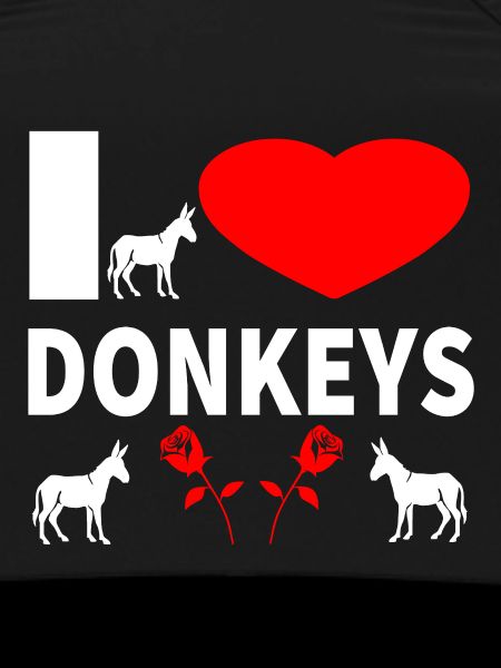 donkey
