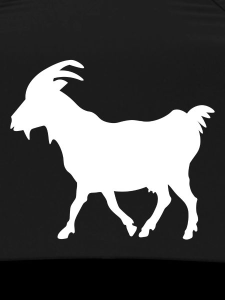 Goat white