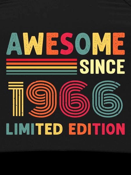 1966 Year of birth
