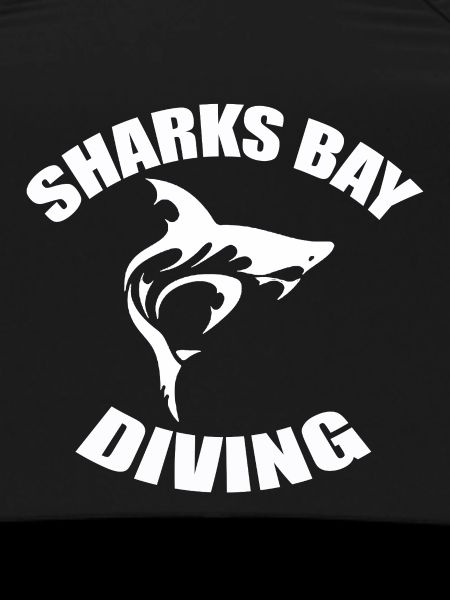PLONGÉE À SHARKS BAY
