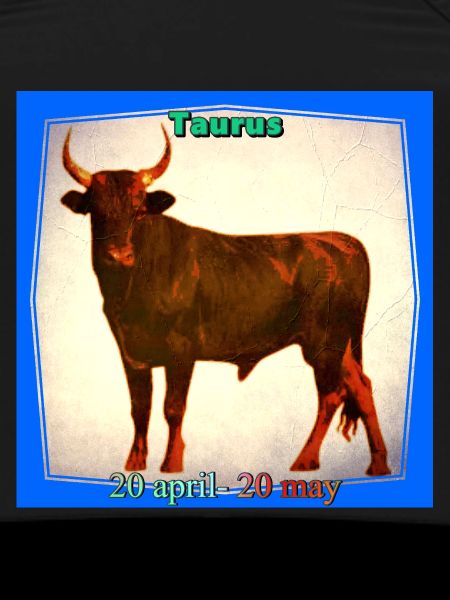 bull