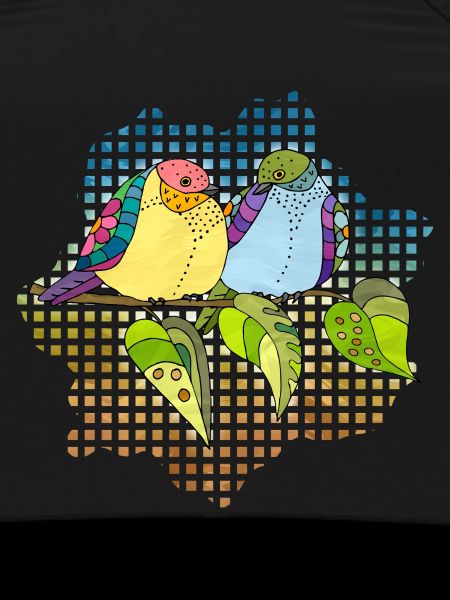 Bunte Vögel