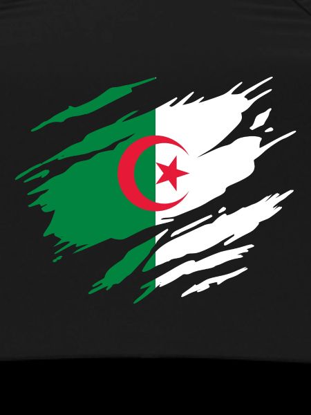 Algerian Flag of Algeria