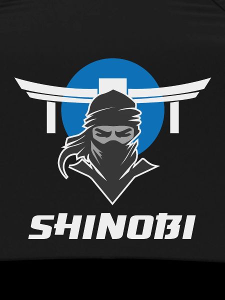 Shinobi Ninja Martial Arts