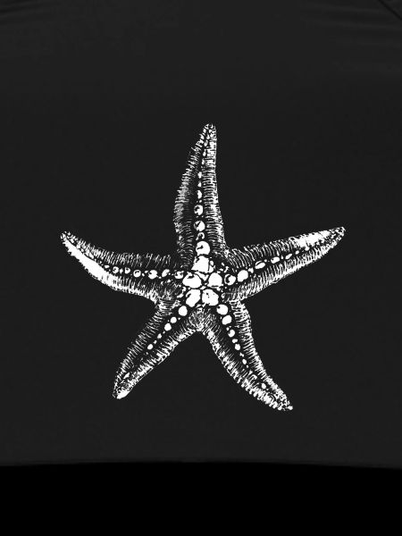 Starfish Silhouette on Black