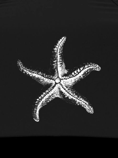 White Starfish Silhouette