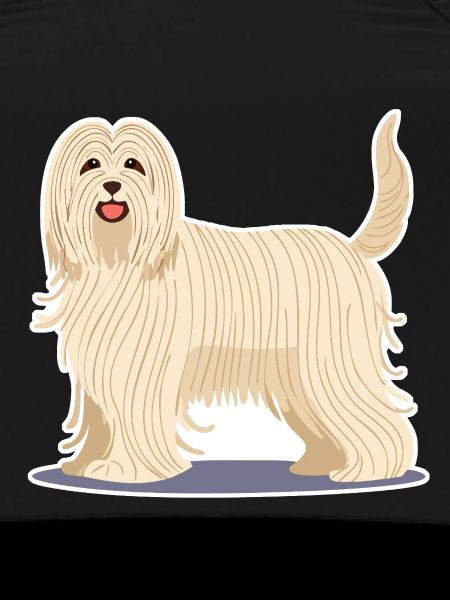 Komondor (Comic)