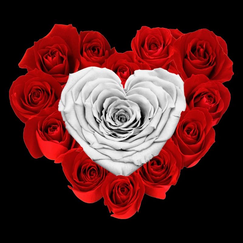 Herz der Rosen