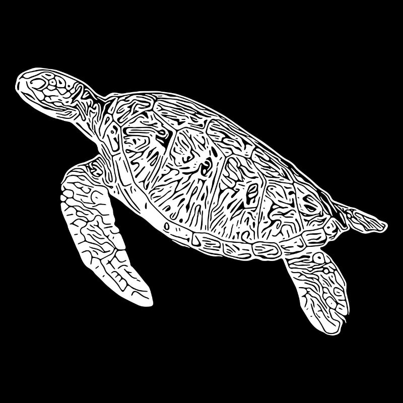 Vintage diving turtle
