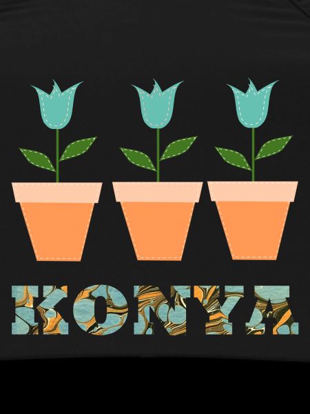 Konya E 204
