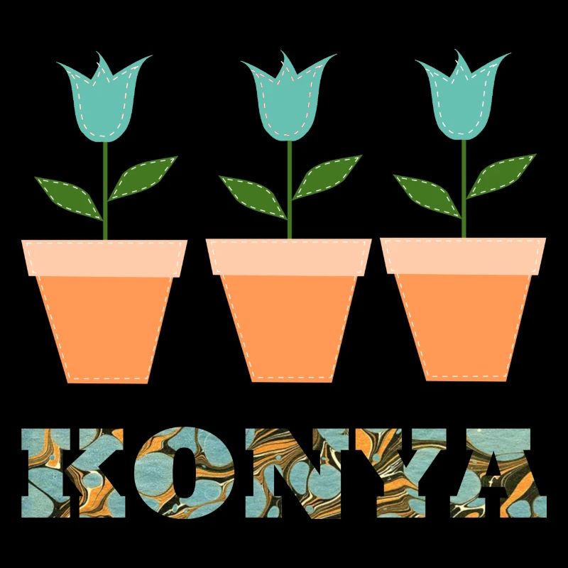 Konya E 204