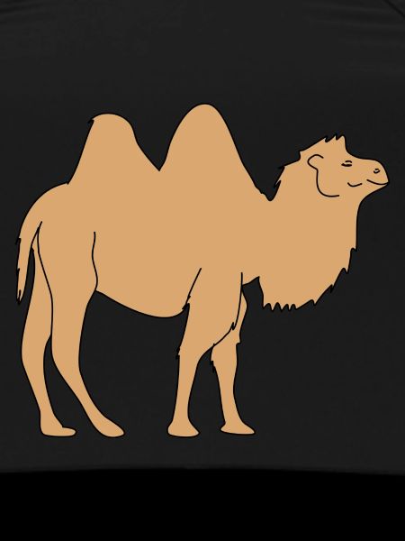 camel