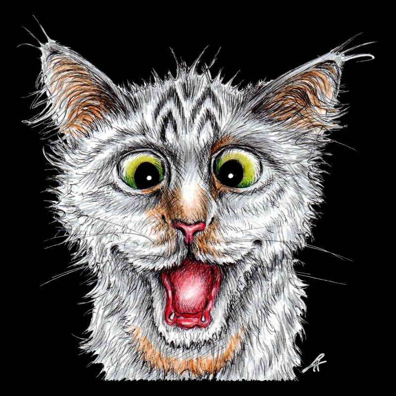 Happy Cat